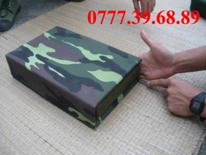 Chăn quân đội